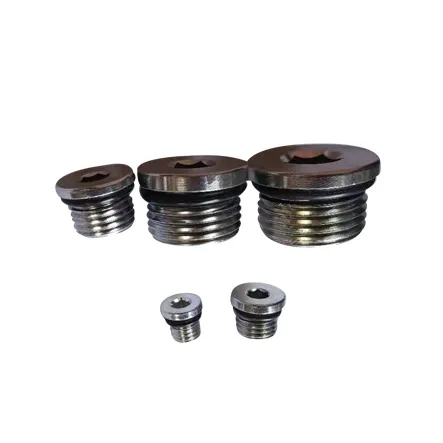 4BN-WD BSP Male Captive Seal Hollow Hex Plug